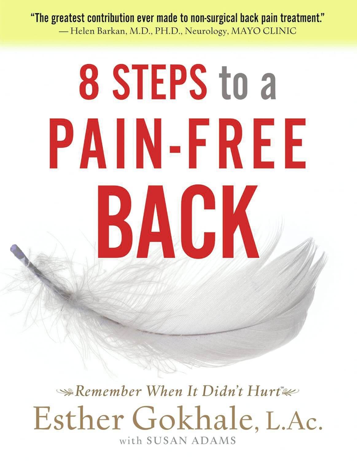 8 Steps to a Pain‑Free Back