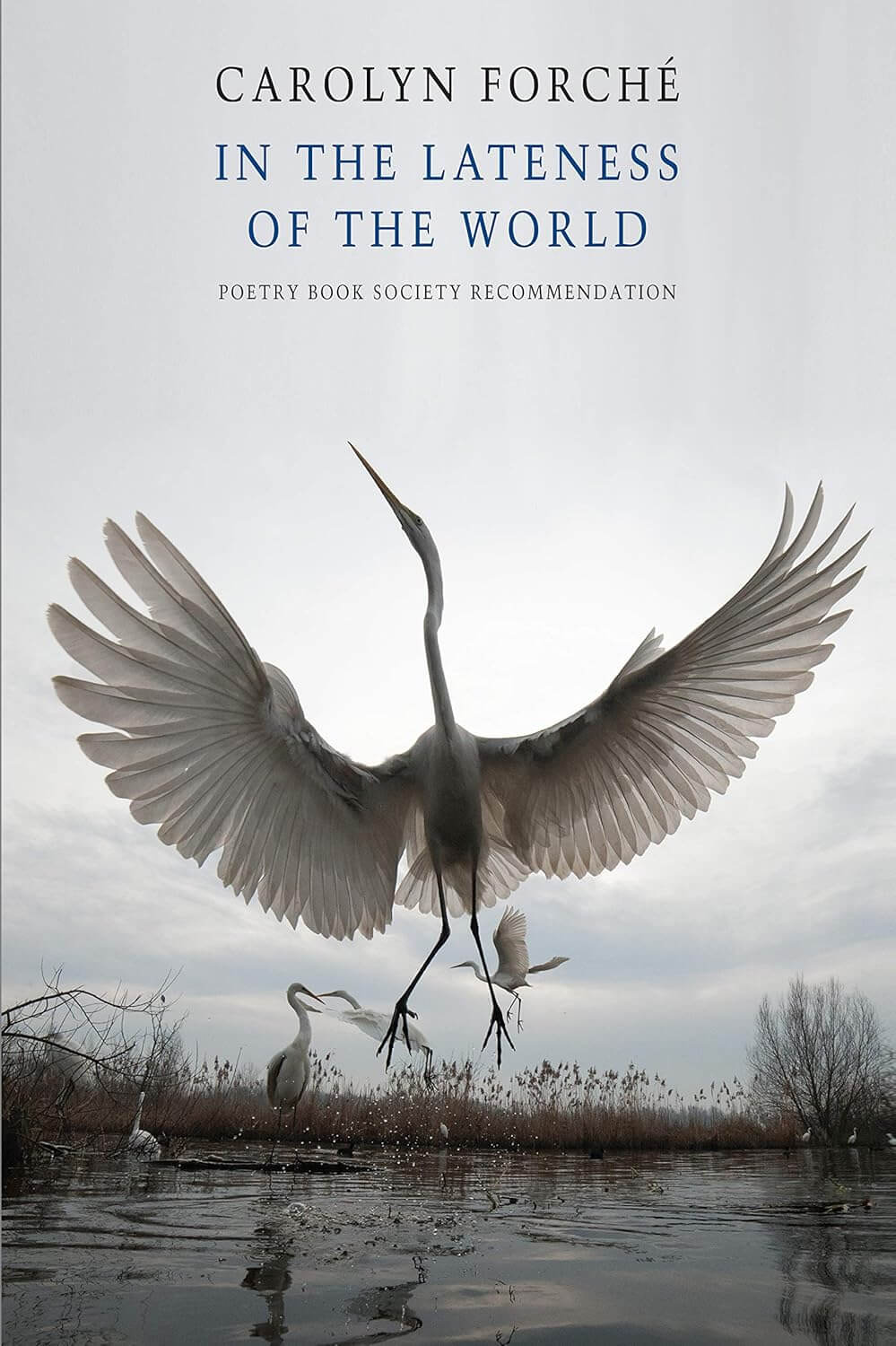 In the Lateness of the World