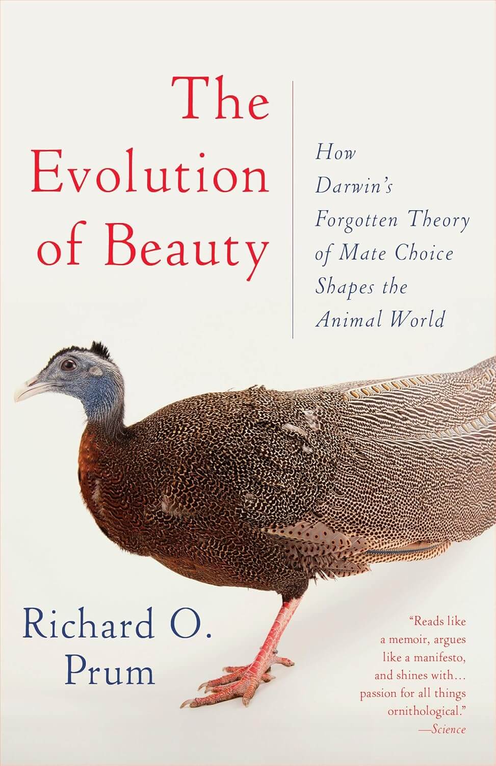 The Evolution of Beauty: How Darwin’s Forgotten Theory of Mate Choice Shapes the Animal World—and Us